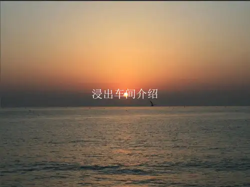 浸出车间介绍