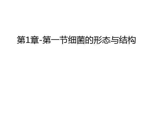 第1章-第一节细菌的形态与结构讲课讲稿