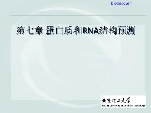 蛋白质和RNA结构预测-PPT文档资料