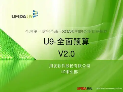 U9_FI_全面预算_2.0