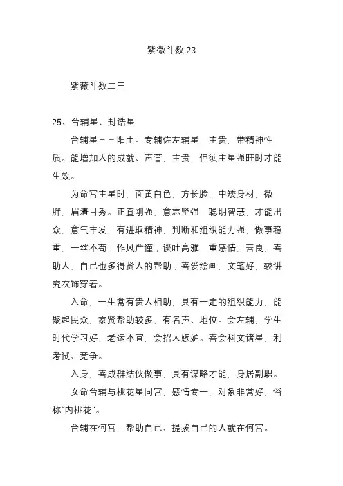 紫微斗数23