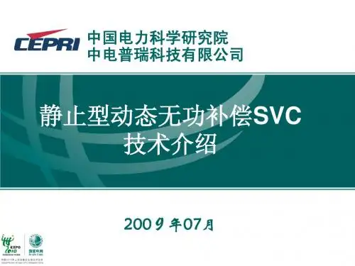 CEPRI---SVC介绍最终
