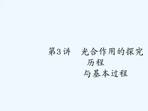 高考生物(新课标)一轮复习课件:第3单元 细胞的能量供应和利用3.3