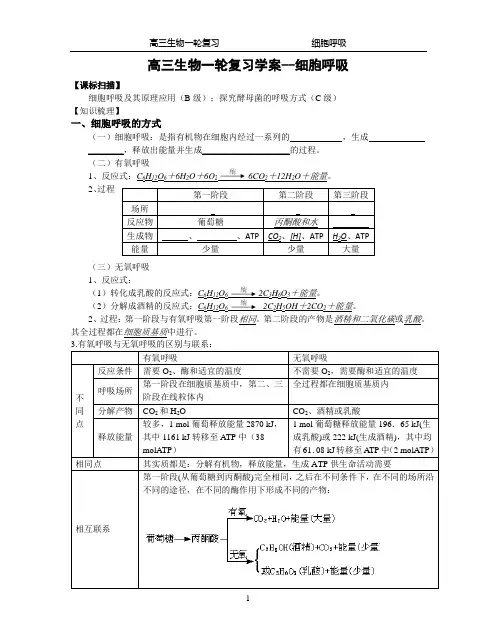 高三生物一轮复习学案--细胞呼吸