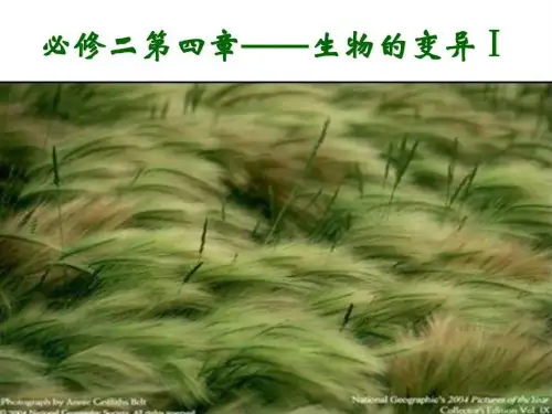 生物的变异1 2019.111