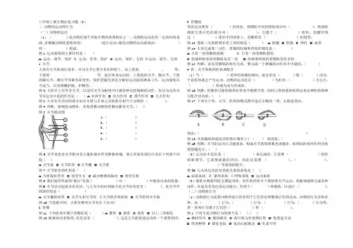 八年级上册生物总复习题二