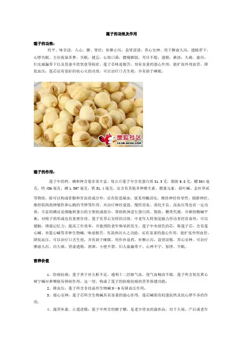 莲子的功效及作用