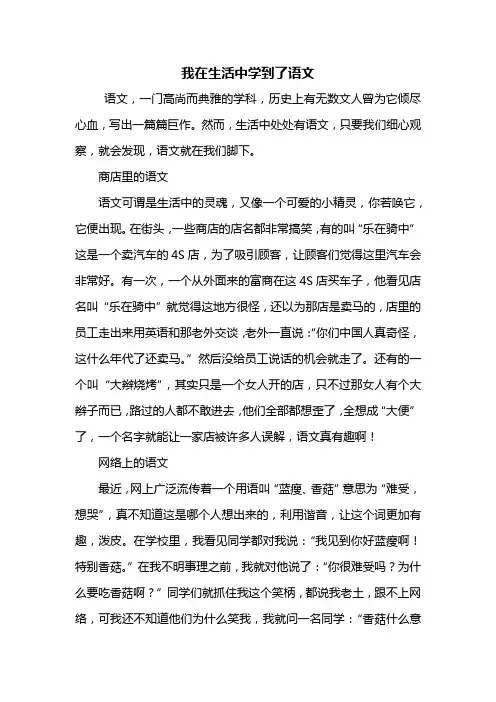 六年级作文：我在生活中学到了语文作文600字