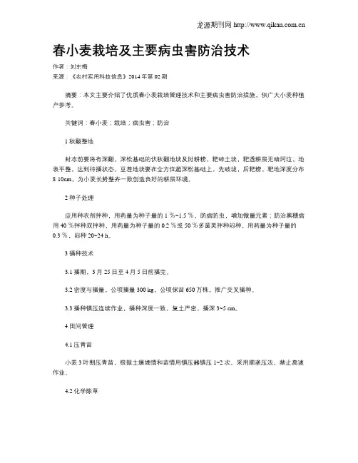 春小麦栽培及主要病虫害防治技术