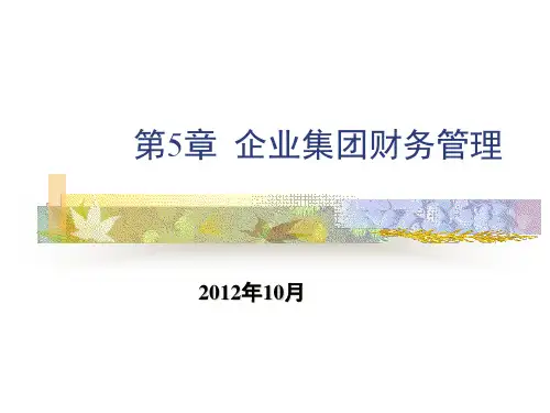 第5章企业集团财务管理概述