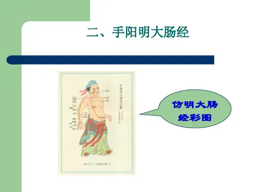 手阳明大肠经