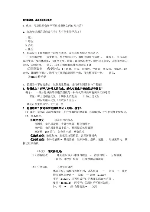 细胞、组织的适应和损伤