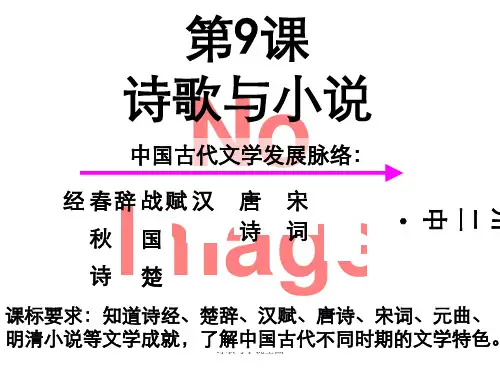 诗歌与小说全面