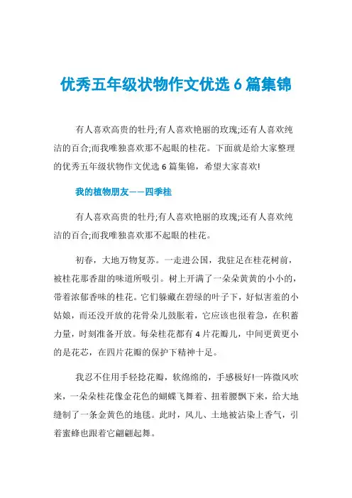 优秀五年级状物作文优选6篇集锦