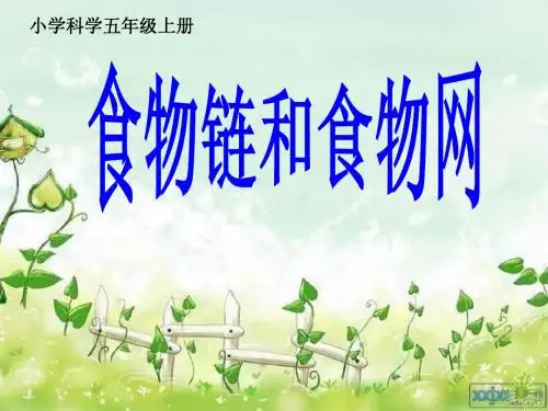 《食物链和食物网》PPT课件88