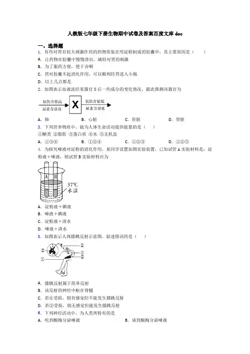 人教版七年级下册生物期中试卷及答案百度文库doc