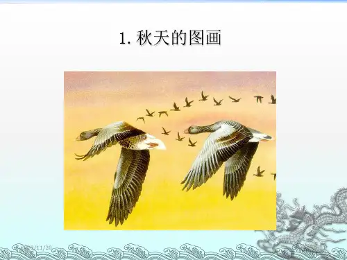 人教版部编版二年级上册语文《秋天的图画》5精品PPT教学课件