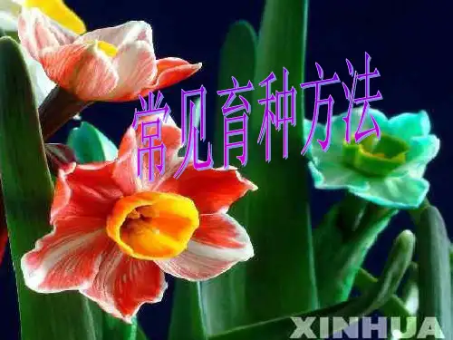 常见育种方法PPT课件