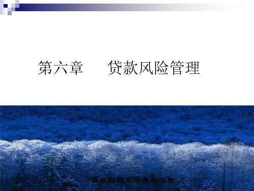第六章贷款风险管理