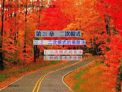 九年级数学上册 第21章 二次根式 21.2 二次根式的乘除法授课课件