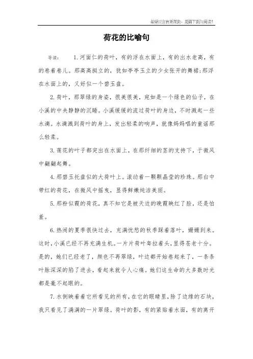 荷花的比喻句_1