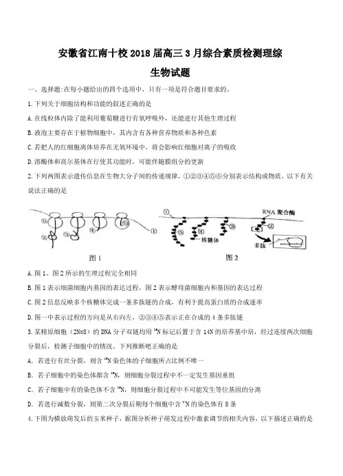 安徽省江南十校2018届高三3月综合素质检测理综生物试卷(含答案)