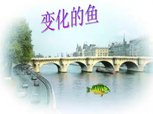 变化的鱼3
