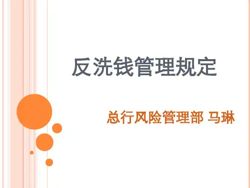 反洗钱讲义