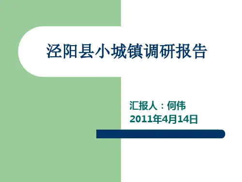 泾阳县小城镇调研汇报