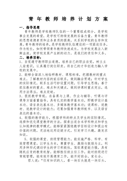 青年教师培养计划及方案