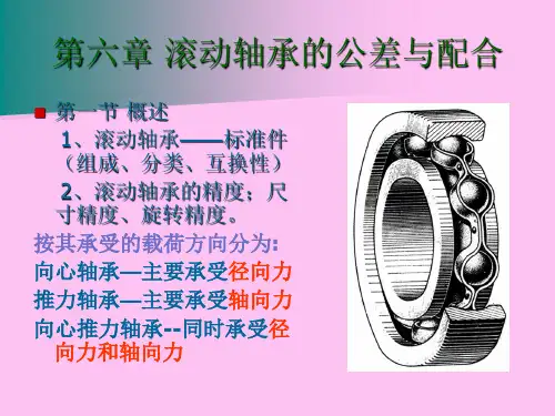 6滚动轴承的公差解析
