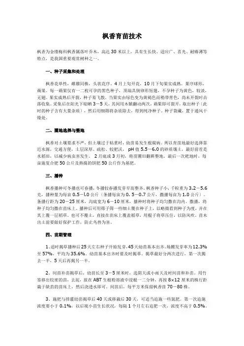 枫香育苗技术 