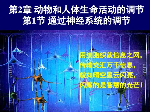 通过神经系统的调节