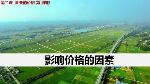 人教版高中政治必修1优质课件6：2.1 影响价格的因素
