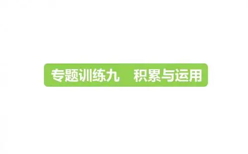 六年级下册语文课件-小升初-专题训练九 积累与运用｜全国通用 (共22张PPT)