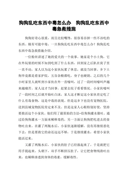 狗狗乱吃东西中毒怎么办  狗狗乱吃东西中毒急救措施
