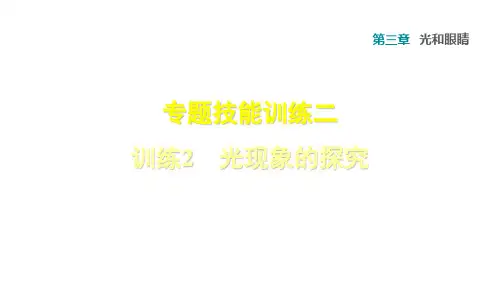 专题技能训练二  2 光现象的探究