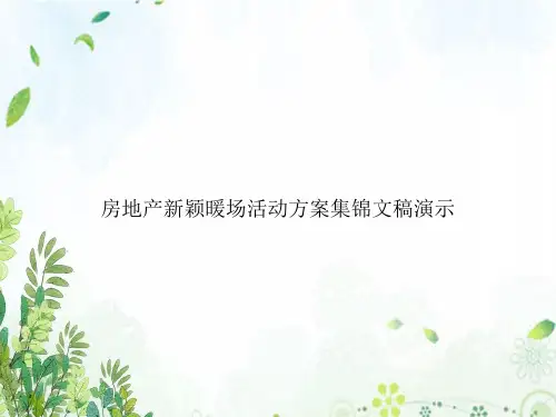 房地产新颖暖场活动方案集锦文稿演示