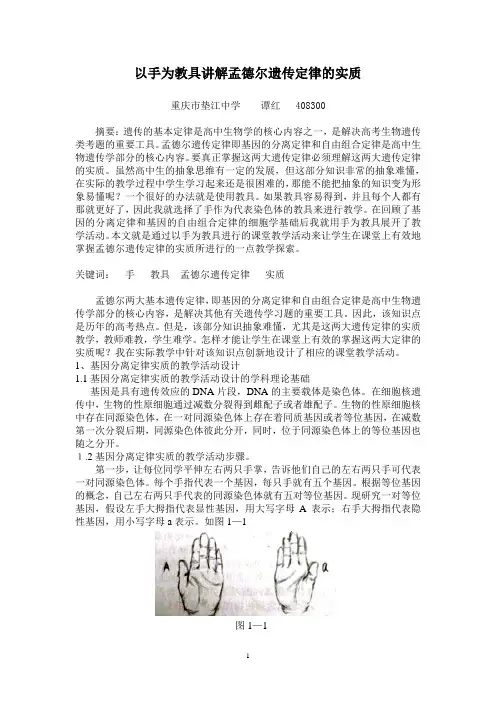以手为教具讲解孟德尔遗传定律的实质(有插图)