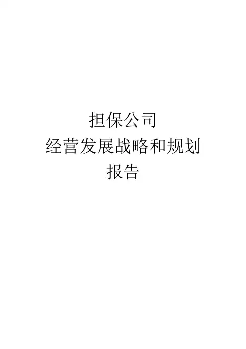 经营发展战略和规划报告