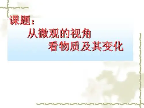 用微粒的观点看物质及其变化
