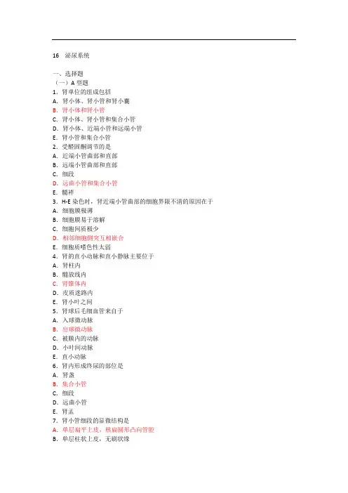 组织学泌尿系统习题