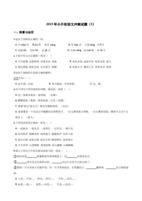 六年级下册试题-2019年小升初语文冲刺试题(3)  人教新课标 (含答案)