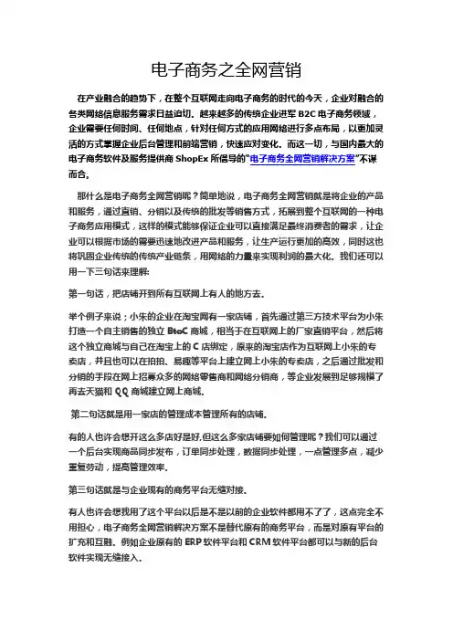 电子商务之全网营销