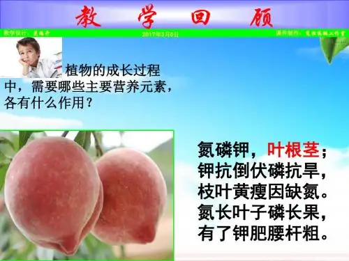 【教师原创】人教版九年级化学下册 12.1人类重要的营养物质 (共30张PPT)