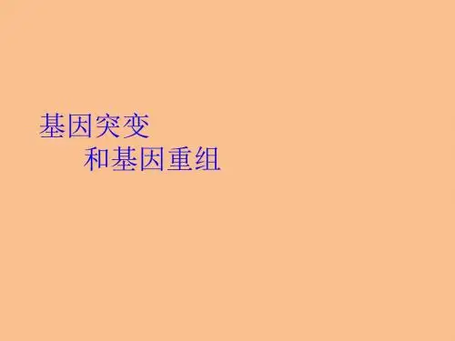 人教版高一生物必修二课件 5.1 基因突变和基因重组(共40张PPT)
