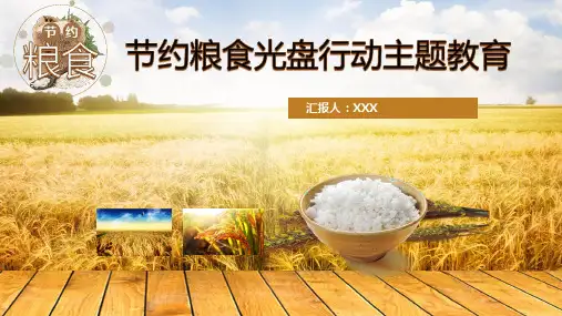 节约粮食光盘行动主题教育PPT模板