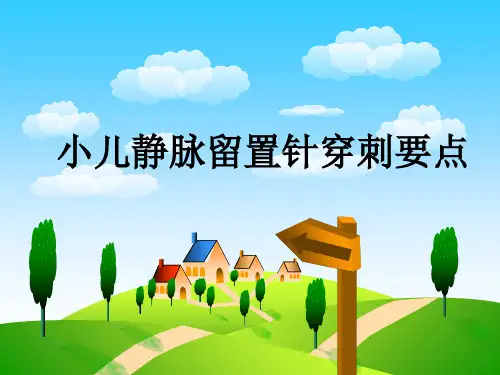 小儿静脉穿刺要点_ ppt课件