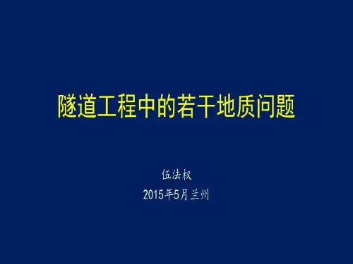 隧道工程中的若干工程地质问题.共79页文档