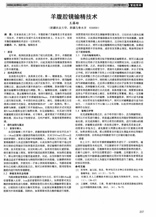 羊腹腔镜输精技术